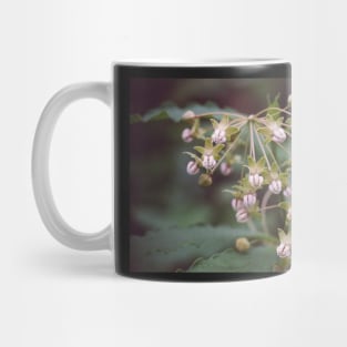 Milkweed Mug